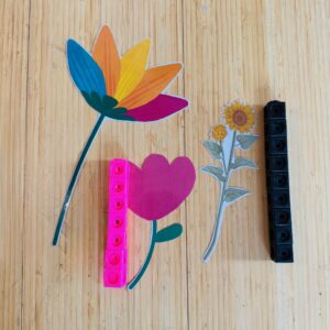 Flower measuring